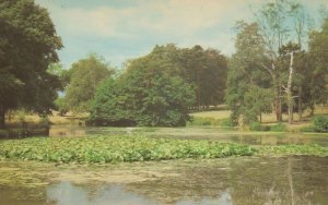 Barclay Park Hoddesdon Hertfordshire 1970s Postcard