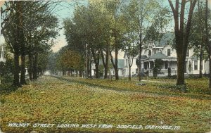 Wheelock Postcard; Walnut & Scofield Street Scene, Carthage IL Hancock County