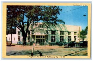 c1940's Greyhound Bus Terminal Tallahassee Florida FL Unposted Trees Postcard