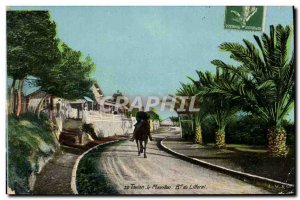 Old Postcard Toulon Mounllon Bd coastal Jumper Horse