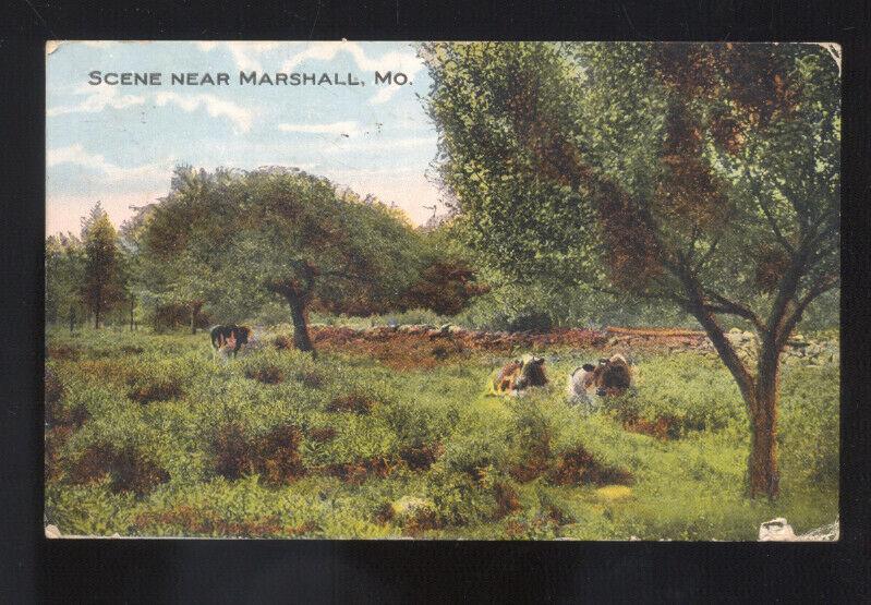 SCENE NEAR MARSHALL MISSOURI CATTLE COWS FARMING GLENNONVILLE MO. POSTCARD