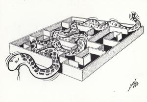 Snake In A Maze French Limited Edition Of 500 Postcard