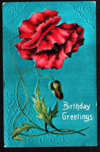 U.S. 1910 Picture Postcard Birthday Greetings!