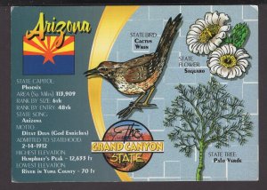 ARIZONA The Grand Canyon State - State Bird Cactus Wren - Cont'l