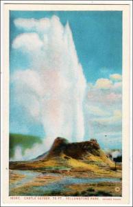 WY - Castle Geyser, Yellowstone National Park