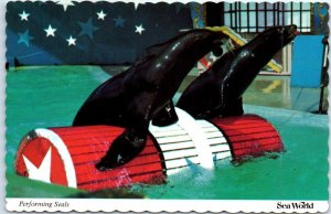 Postcard - Performing Seals at Sea World - Orlando, Florida