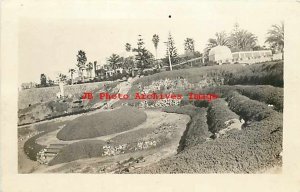 HI, Honolulu? Hawaii, RPPC, Gardens, Scenic View