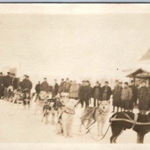 c1910s OOAK Dog Sled RPPC Cute Mixed Pups Husky Real Photo Sent Satsop Wash A213