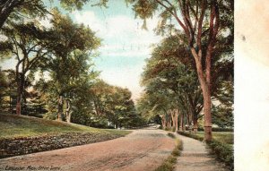 Vintage Postcard 1908 Street Scene Roadside Attractions Lancaster Massachusetts