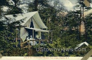 Combination House, Pine Lodge in Angola, New York