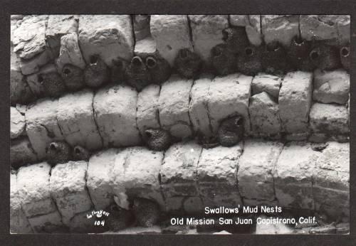 CA Swallow Nests SAN JUAN Mission CAPISTRANO California Postcard Real Photo RPPC