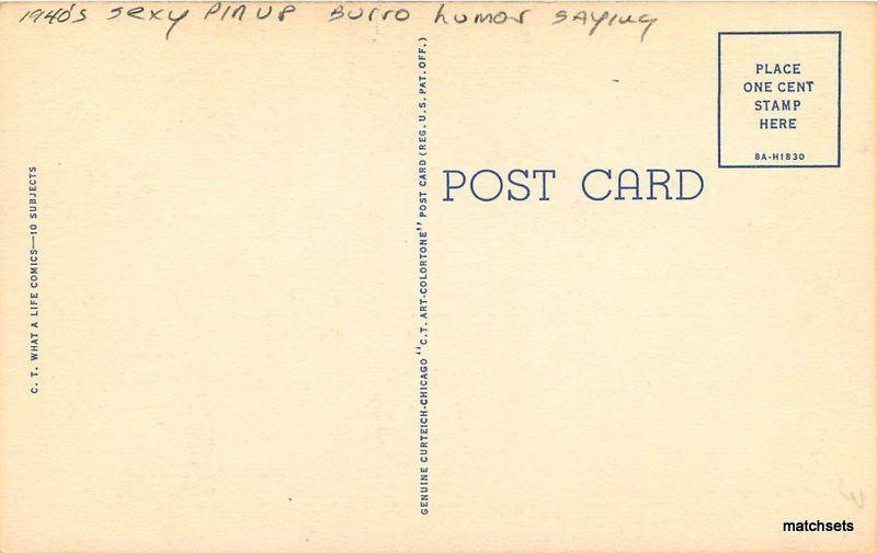 1940s Sexy Pin up Burro humor Saying linen Teich postcard 11691