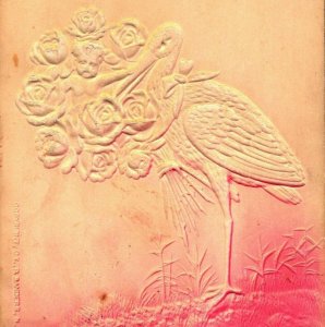 Airbrushed High Relief Embossed Stork With Roses 1909 DB Postcard