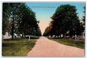 1912 Road Scene, Looking North, Canaan Street New Hampshire NH Postcard