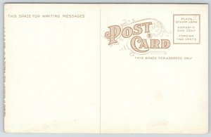 Wheeling West Virginia~United States Post Office~Crowd on Street Corner~c1910 