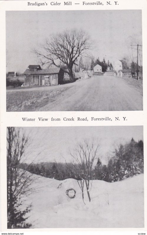 FORESTVILLE , New York , 40-50s ; Bradigan's Cidar Mill & Creek Road in Winter