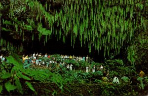 Hawaii Kauai Beautiful Fern Grotto