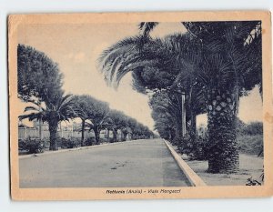 Postcard Viale Mengacci, Nettunia, Italy