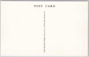 Magna Carta Island England House Unused Litho Postcard H74