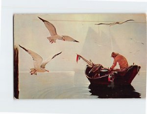 Postcard Fisherman and Sea Gulls on Cape Cod Massachusetts USA