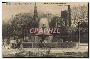 Old Postcard Sens Jet d & # 39Eau the Green Carpet Hotel de Ville and Cathedr...