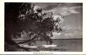 Michigan Pearl Beach Real Photo