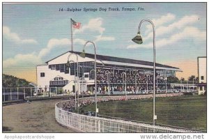 Sulphur Springs Dog Track Tampa Florida