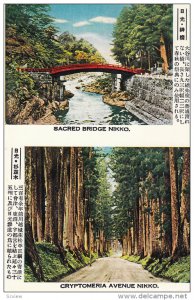 Sacred Bridge & Cryptomeria Avenue, Nikko, Japan, 00-10s