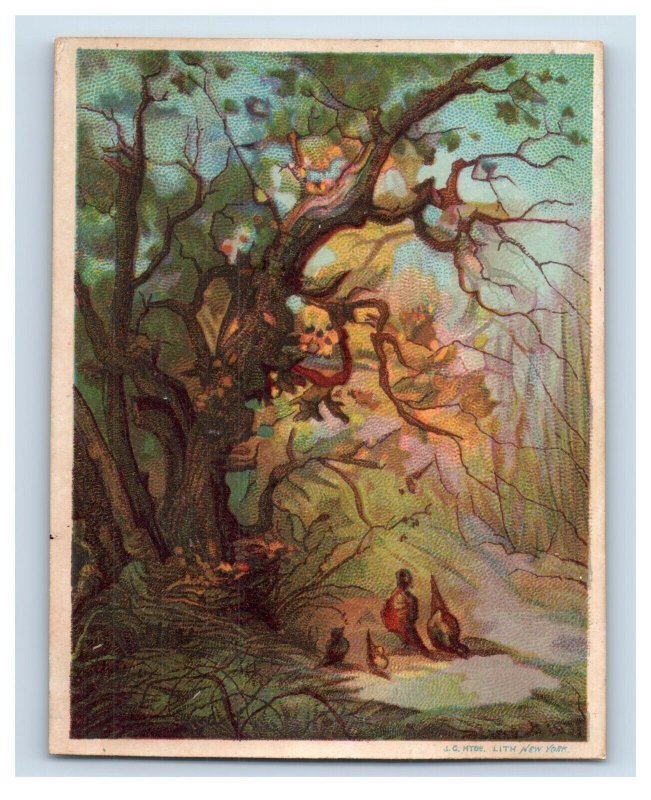 1880s Loo Choo Mixed Tea Cards Beautiful Woods Trees LOT Of 2 F130
