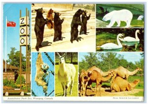 1974 Assiniboine Park Zoo Winnipeg Manitoba Canada Animal Multiview Postcard