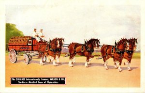 Advertising $ 100,000 Internationally Famous Wilson & Company Six Horse Clyde...