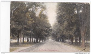 PRINCETON, Illinois; Elm Place, PU-1908