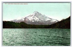 Mt Hood From Trout Lake Near Portland Oregon OR UNP DB Postcard T1