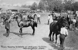 Fine horse exhibit at Williams County fair Montpelier, Ohio, USA Horse Racing...