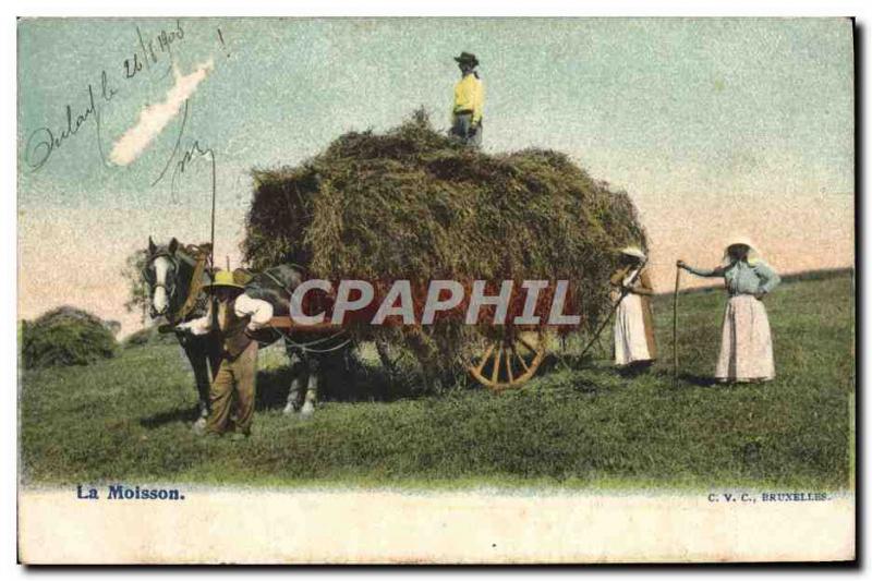 Old Postcard Folklore Carriages harvest