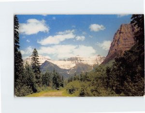 Postcard Typical scene Going to the Sun Highway in Glacier National Park MT USA