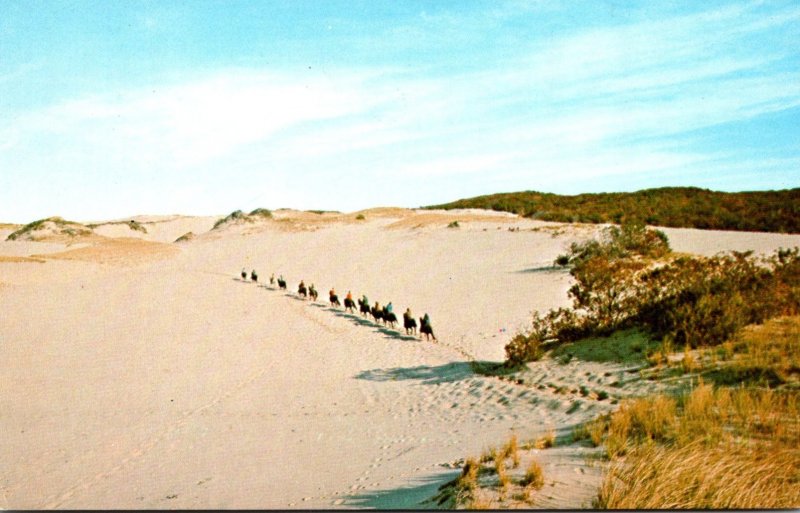 Massachusetts Cape Cod Horseback Riders On The Sand Dunes