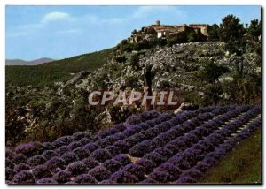 Modern Postcard Gourdon Field of Lavender and Old Village