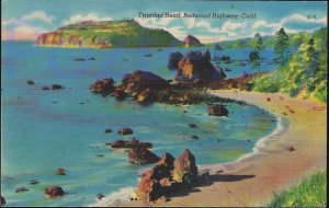 TRINIDAD HEAD REDWOOD HIGHWAY 1952 CALIFORNIA