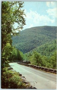 M-29401 View on Rip Van Winkle Trail Route #23A Catskill Mountains New York