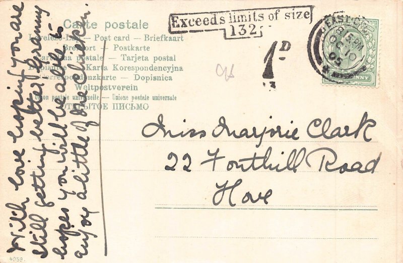 Animals Anthropomorphic Monkey Policeman Scared Pig Humanized 1905 postcard B920