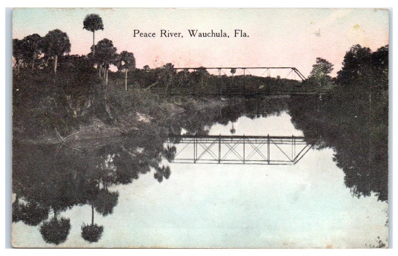 Early 1900s Peace River, Wauchula, FL Postcard