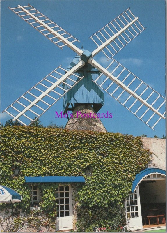 France Postcard - Bourgueil, Indre-et-Loire, Le Moulin Bleu  RR20797
