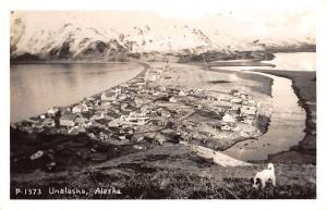 Unalaska Alaska Birdseye View Of City Dog Real Photo Antique Postcard K24207