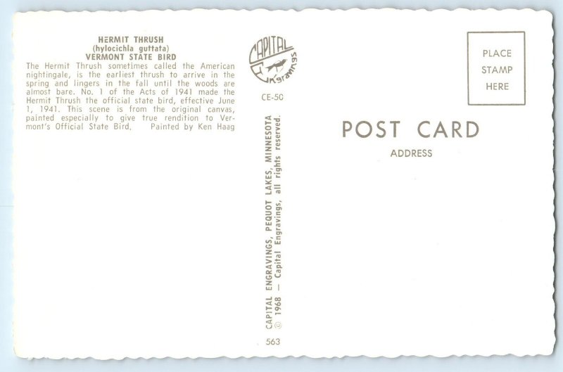 1941 Vermont State Bird Hermit Thrush Ken Haag Signed Artist Vintage Postcard