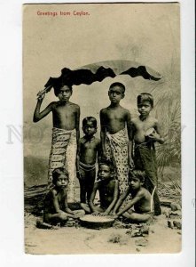 271260 Greetings from CEYLON Semi-nude children Vintage Plate