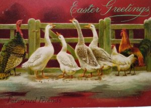 Easter Postcard Artist Helena Maguire Farmyard Friends Geese Rooster Tucks 6635