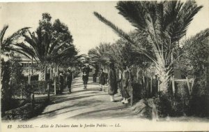 CPA AK TUNISIE SOUSSE - Allée de Palmiers dans le Jardin Public (134335)