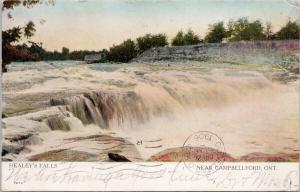 Healey's Falls near Campbellford Ontario ON c1906 Postcard F5