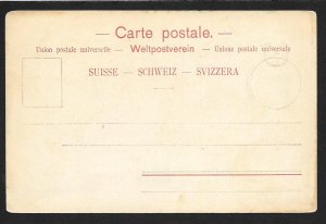 SWITZERLAND Stamps on Postcard Flowers Unused c1905